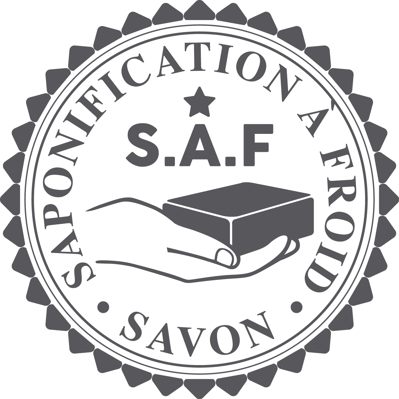 LOGO SAF